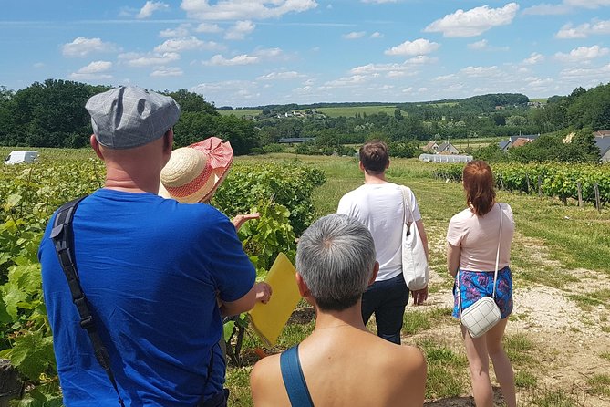 Loire Valley Day From Amboise : Azay Le Rideau, Villandry, Winery - Participant Information