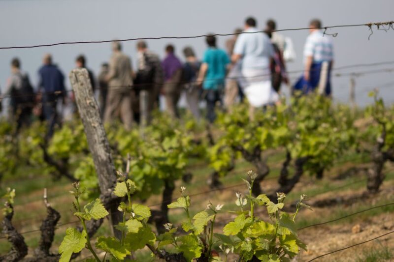 Loire Valley: Vouvray Vineyard Tour and Wine Tasting - Itinerary Details