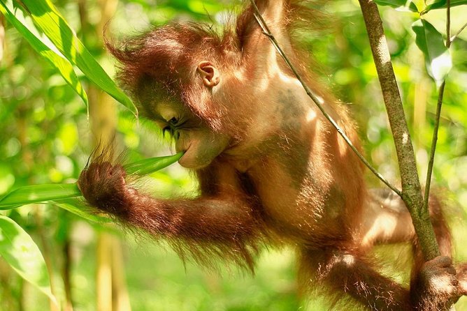 Lombok Wildlife Park Skip the Line Ticket - Interactive Family Activities