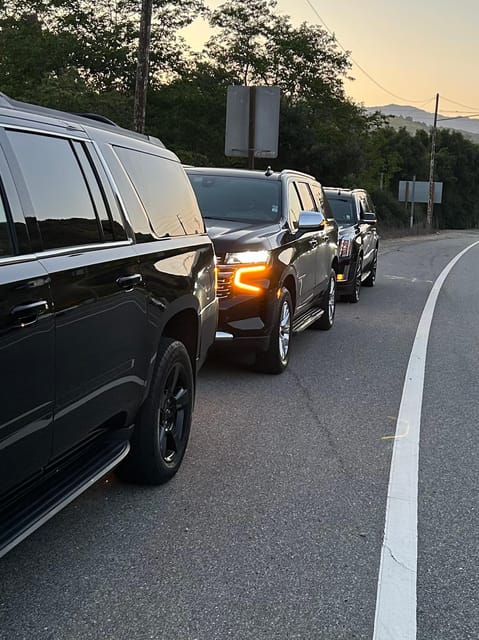 Los Angeles: Transfer From LAX to Disneyland - Pickup Process at LAX