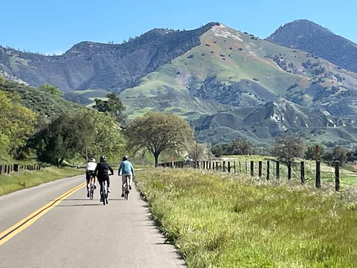 Los Olivos: E-Bike Tour + Vineyard Lunch With Wine Tasting - Tour Features