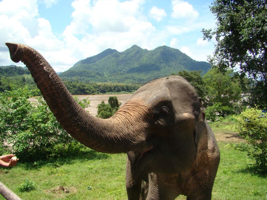 Luang Prabang: 4-Day Explorer Tour - Day 1: Arrival and Transfer