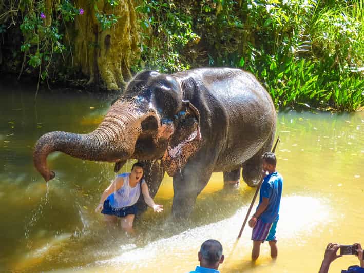 Luang Prabang Elepphant Keeper Bathe Option Kuangsi Tour - Experience Highlights