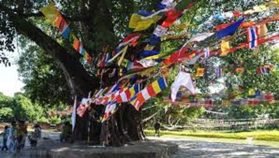 Lumbini Full Day Tour With Guide - Key Tour Highlights