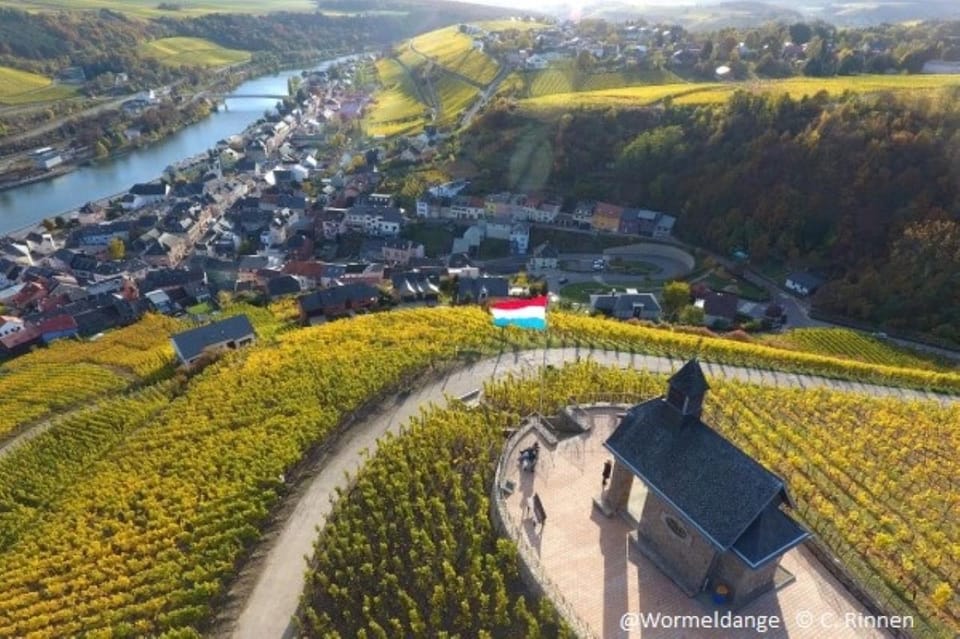 Luxembourg: Moselle Day Trip With Wine Tasting and Boat Tour - Itinerary Details