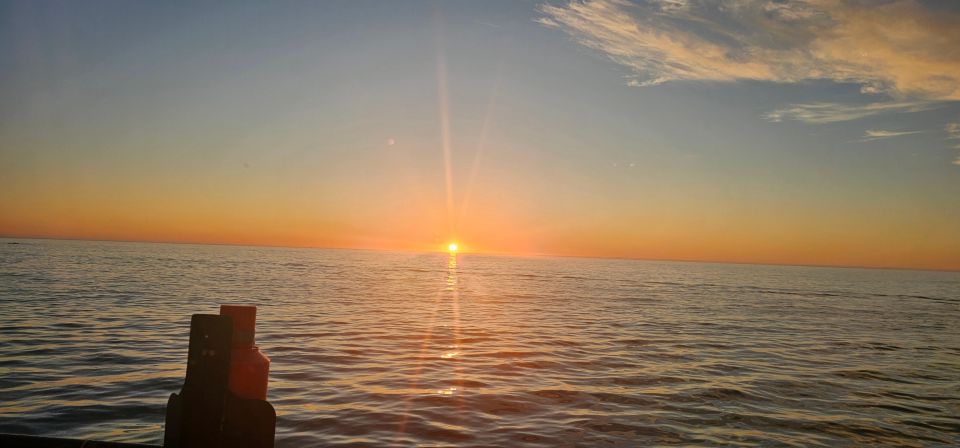 Luxury Boat Cruise From the V&A Waterfront - Encountering Marine Wildlife