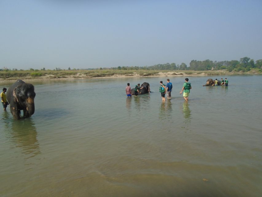 Luxury Chitwan Jungle Safari Package (2Nights/3Days) - Wildlife and Biodiversity