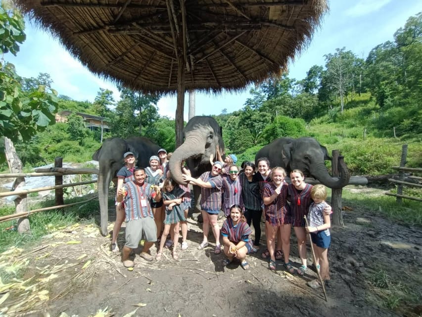 Maewang, Chiangmai: Elephant Jungle Park Day Tour - Itinerary Details