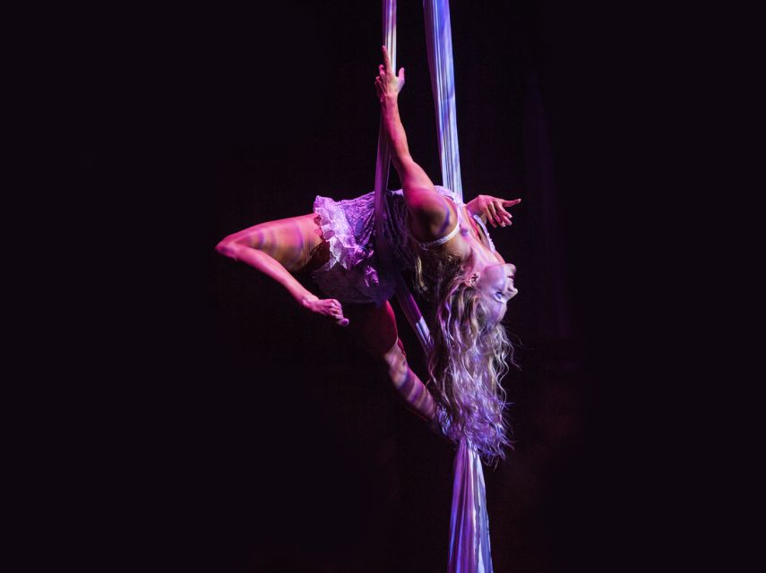 Magaluf: Pirates Adventure Dinner Show Ticket - Acrobatic Performances