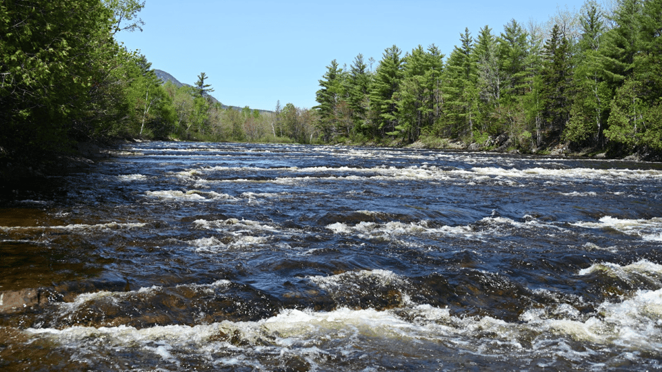 Maine: Charter Bowliner Boat Rides on the Penobscot River - Booking Information