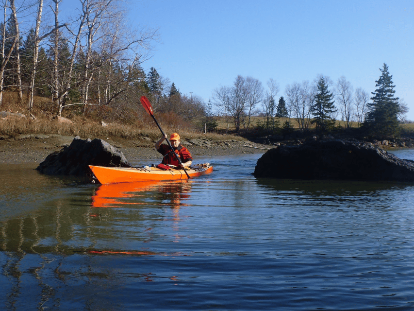 Maine: Penobscot River Guided Kayaking Tour - Booking and Availability