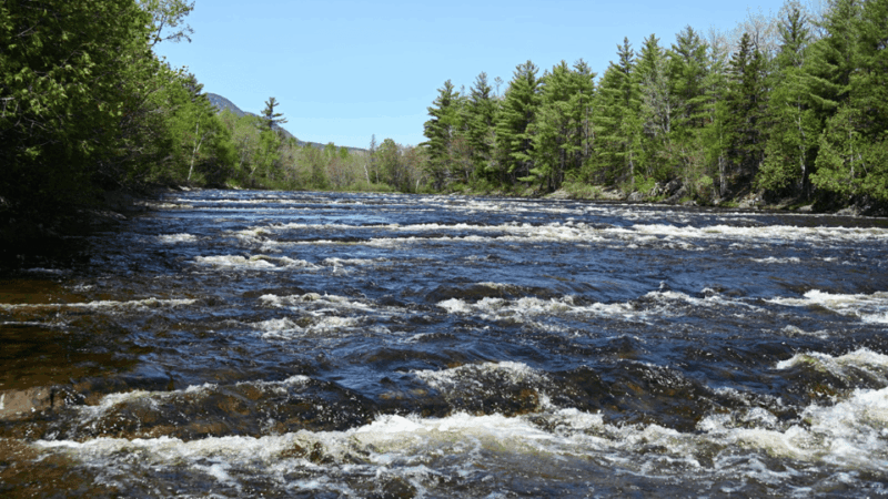 Maine: Penobscot Up River Boat Charter Guided Tour - Tips for Your Journey