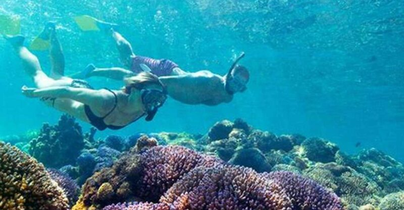 Maio: Reef Snorkeling - Experience Highlights