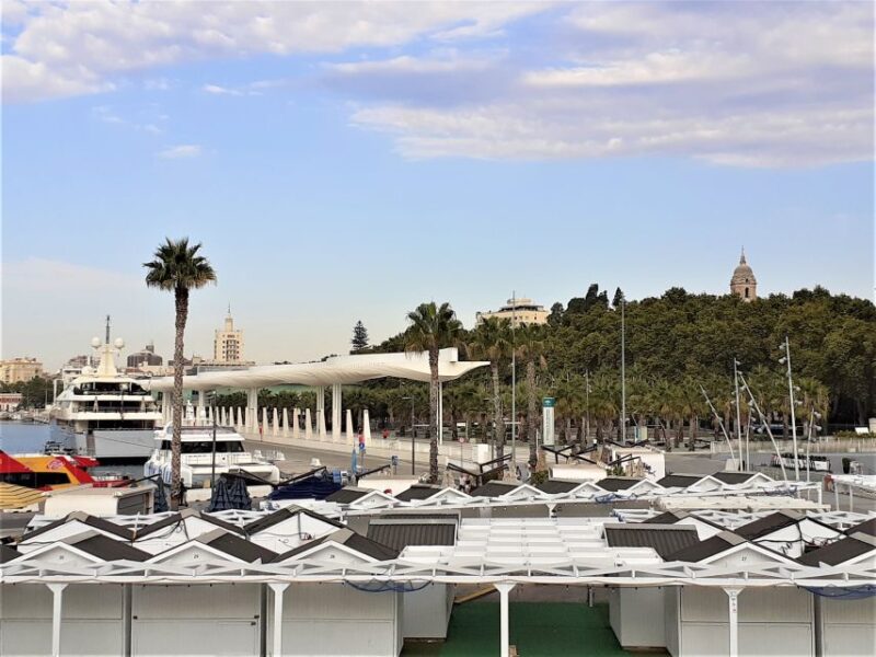 Malaga: Private Walking Tour - Inclusions and Pricing