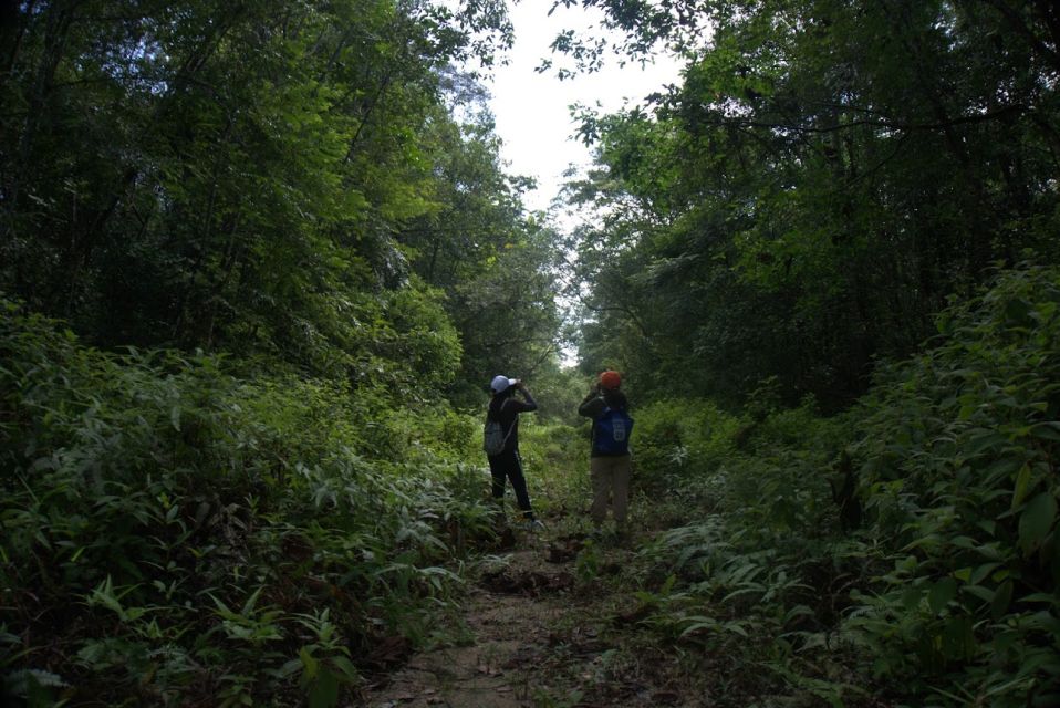 Malaysia: Gunung Panti Forest Reserve Guided Nature Tour - Detailed Itinerary