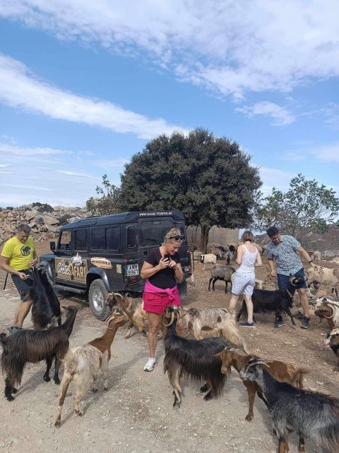 Malia: Land Rover Safari Lasithi Plateau and Zeus Cave - Itinerary Details