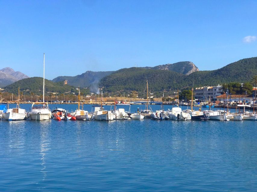 Mallorca: Catamaran Coastal Cruise With Lunch - Inclusions and Equipment