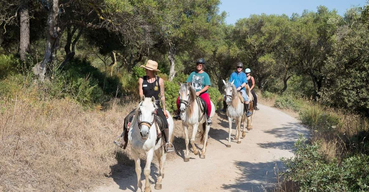 Mallorca: Horseback Riding Excursion and Wine Tasting - Inclusions and Exclusions