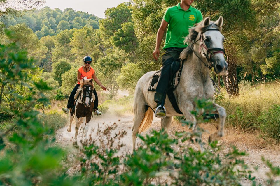 Mallorca: Horseback Riding Experience With Food Options - Food Options