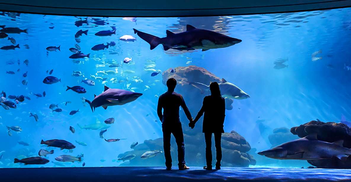 Mallorca: Palma Aquarium Entry Ticket W/ Optional 3D Cinema - Optional Add-ons