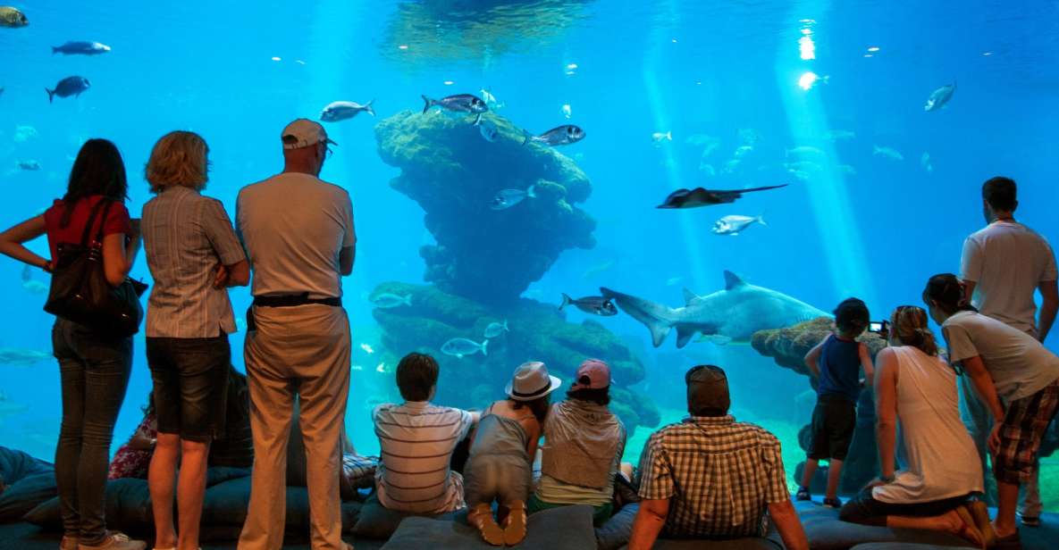 Mallorca: Palma Aquarium Tickets With Transfer - Visitor Information