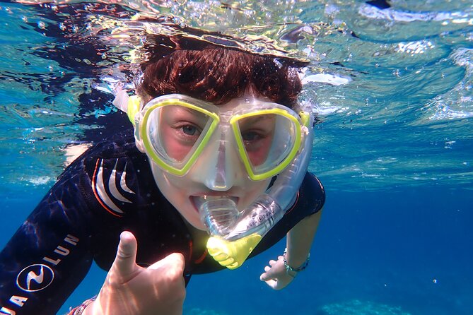 Mallorca: Snorkeling in a Beautiful Nature Reserve - Underwater Sights and Marine Life