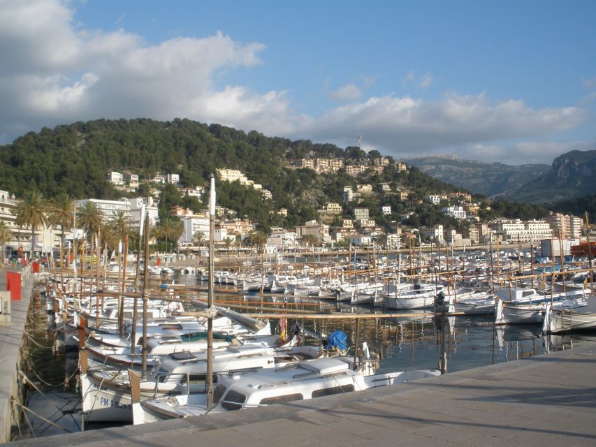 Mallorca: Soller Port and Valldemossa - Soller Port Discovery