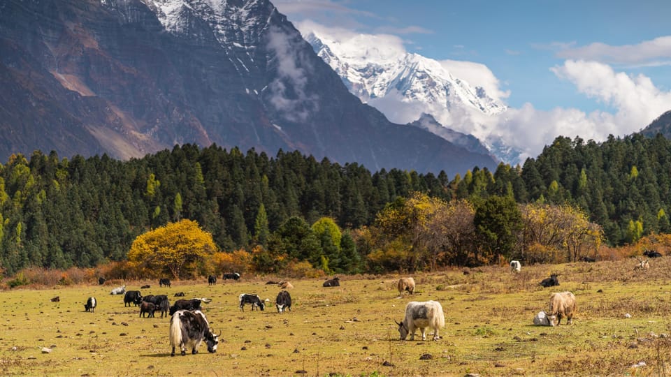 Manaslu Circuit Trek, Nepal - Accommodation Options