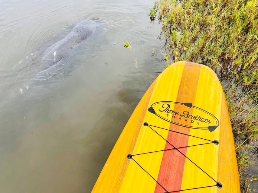 Manatee and Nature Tour of Ormond Beach - Equipment and Safety