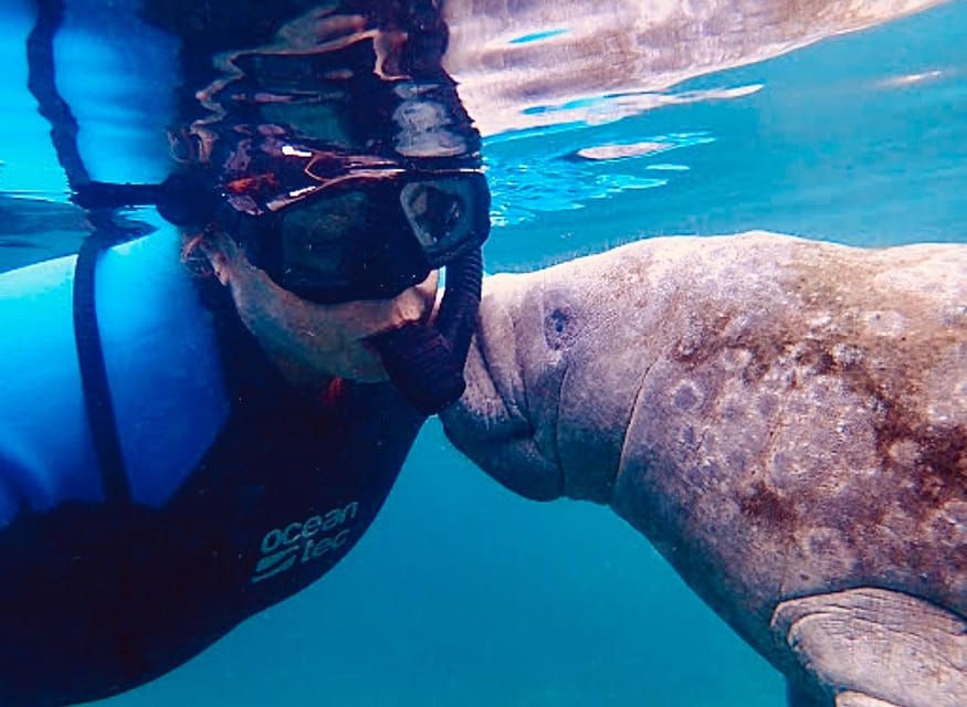 Manatee Snorkel Tour From American Pro Diving Center - Tour Details