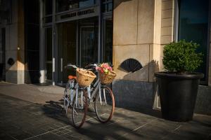 Mandarin Oriental, Boston - Facilities and Amenities