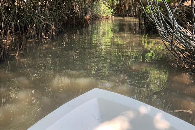 Mangrove Adventure - Pricing Details and Offers
