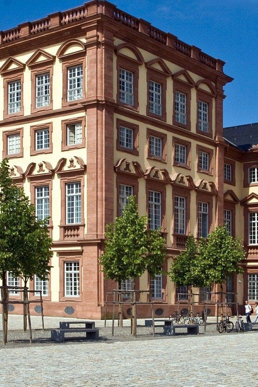 Mannheim Private Guided Walking Tour - Key Attractions