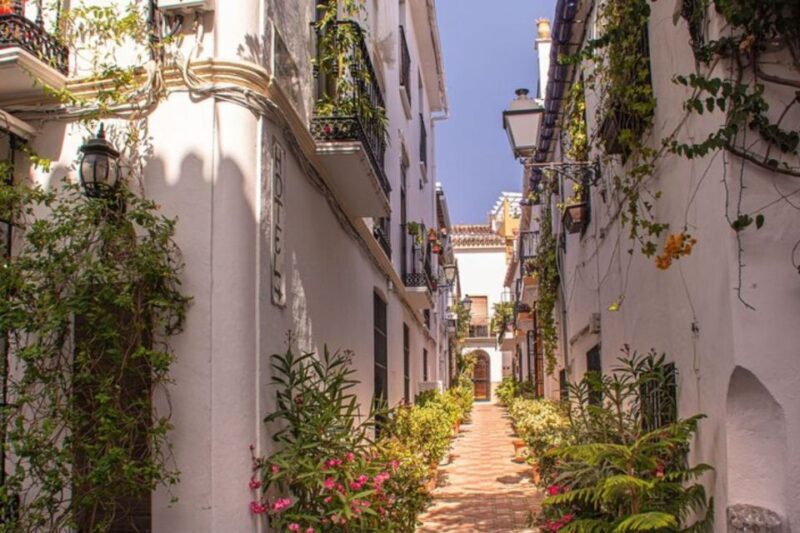Marbella: Private Customizable Walking Tour With Guide - Inclusions and Exclusions