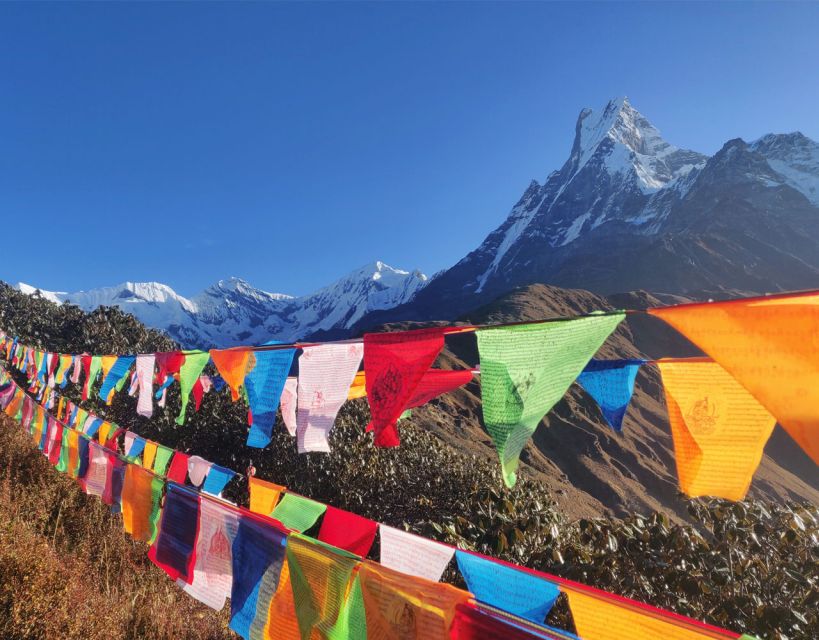 Mardi Himal Base Camp Yoga Trek 7-Day - Daily Yoga Practices