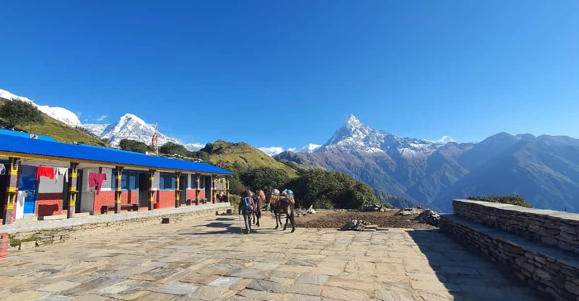 Mardi Himal Guided Private Trekking From Pokhara - 6 Days - Daily Itinerary