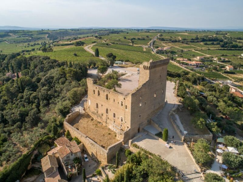 Marseille: Cruise Ship Excursion to Avignon & Popes Palace - Inclusions and Exclusions