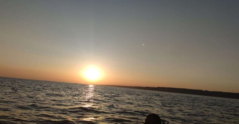 Marseille: Cruise to the Island of Frioul & Chateau Dif - Highlights of the Experience