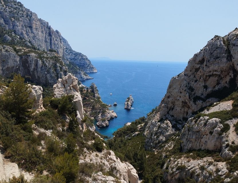 Marseille: Guided Hiking Calanques National Park From Luminy - Local Guide Experience