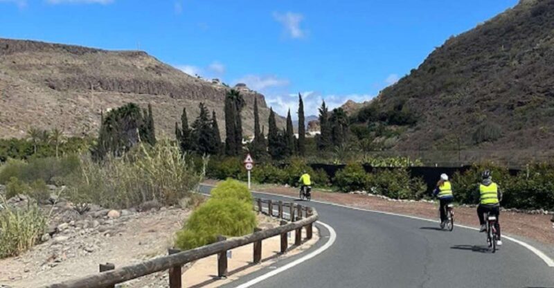 Maspalomas: Ayagaures E-Bike Mountain Tour Optional Tapas - Inclusions and Exclusions