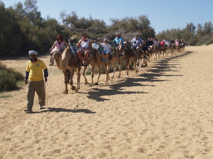 Maspalomas: E-Bike Tour Optional Camel Ride - Inclusions and Costs