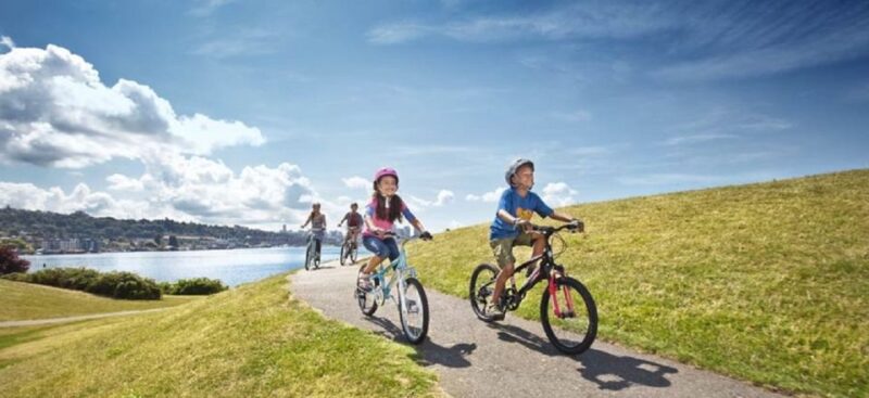 Maspalomas: Rent City Bike Optional Baby Seat or Child Bike - Rental Inclusions
