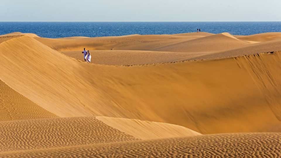 Maspalomas: Southern Coast E-Bike Tour Option Tapas Tasting - Inclusions and Requirements