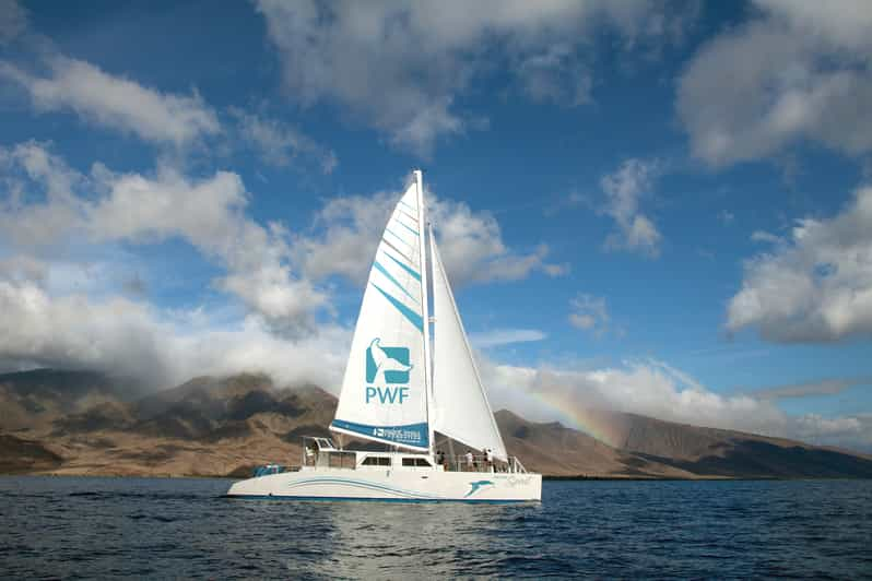 Maui: Exclusive Honolua Bay Sail From Maalaea Harbor - Included Features