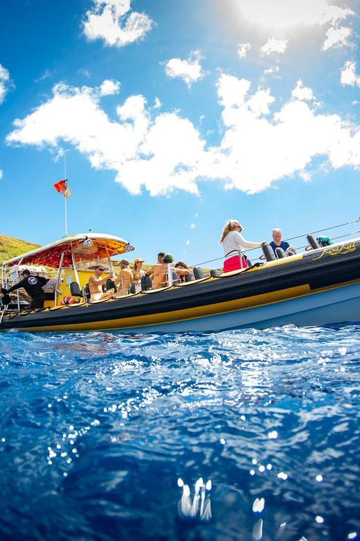 Maui: Thrilling Koa Kai Afternoon Snorkel Adventure - Equipment and Amenities