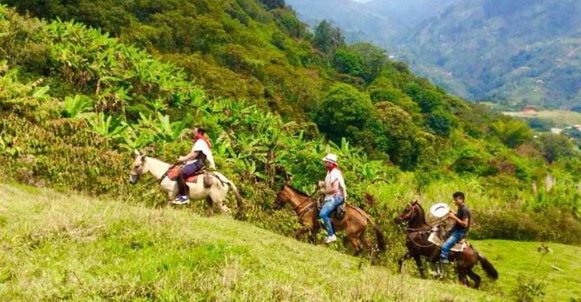 Medellín: Authentic Colombian Horseback Ride - Quality of Horses and Guides