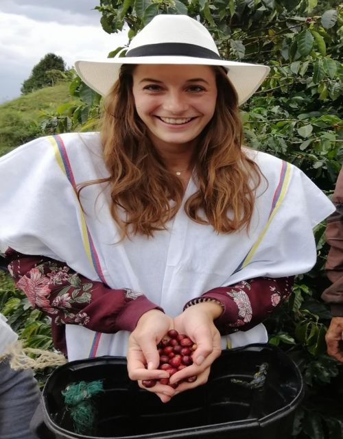 Medellín Coffee Farm Tour With Trolley and Cable Car Ride - Trolley and Cable Car Experience