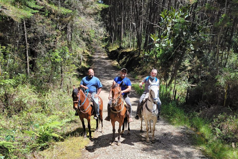 Medellin: Horseback Riding Coffee Farm Tour With Coffee Spa - Coffee Spa Experience