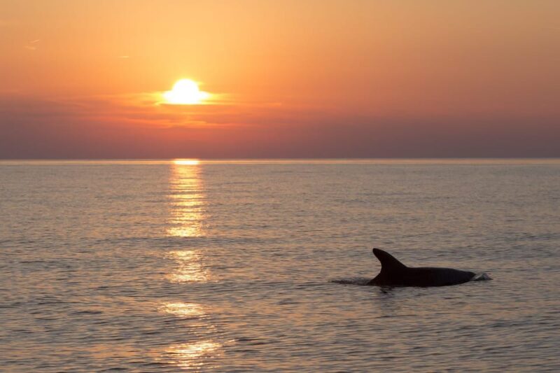 Medulin: Private Sunset Cruise With Dolphin Watching - Onboard Experience