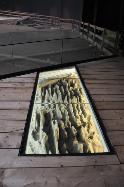 MEGALITHIC AREA OF SAINT-MARTIN-DE-CORLÉANS - Guided Tour Experience